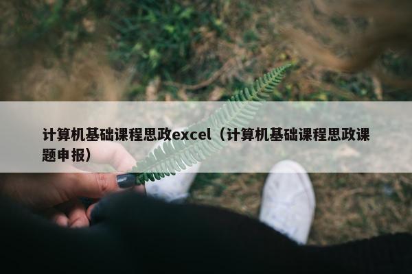 计算机基础课程思政excel（计算机基础课程思政课题申报）