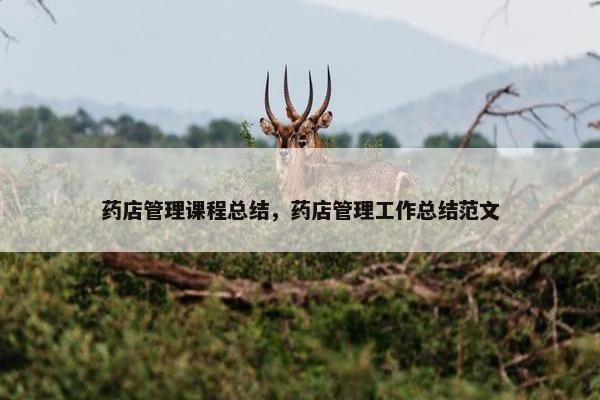 药店管理课程总结，药店管理工作总结范文
