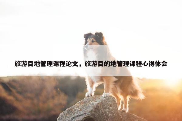 旅游目地管理课程论文，旅游目的地管理课程心得体会
