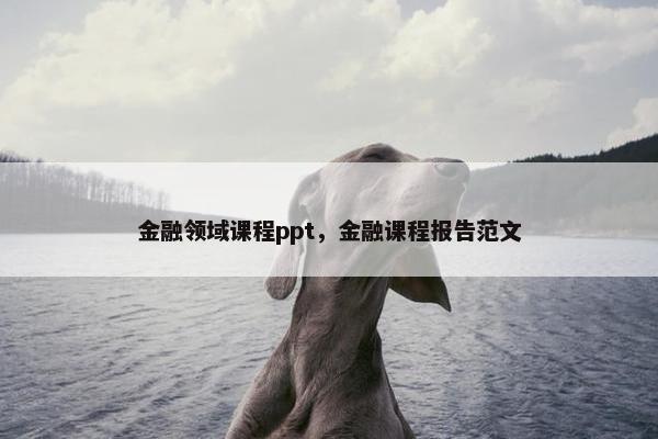 金融领域课程ppt，金融课程报告范文