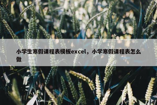 小学生寒假课程表模板excel，小学寒假课程表怎么做