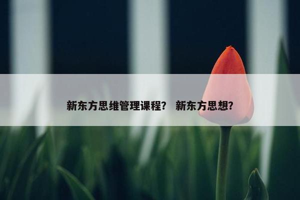 新东方思维管理课程？ 新东方思想？