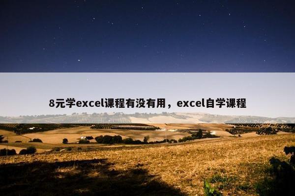 8元学excel课程有没有用，excel自学课程