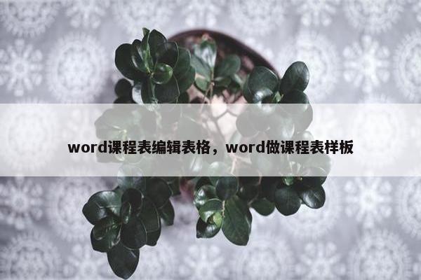word课程表编辑表格，word做课程表样板