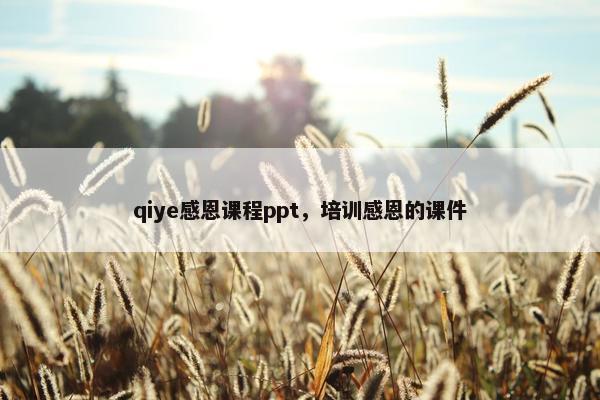 qiye感恩课程ppt，培训感恩的课件