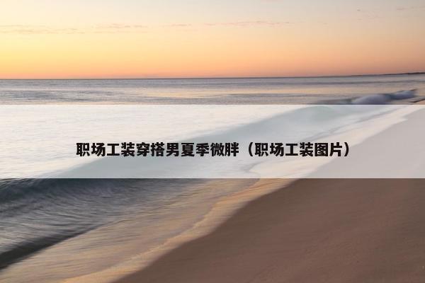 职场工装穿搭男夏季微胖（职场工装图片）