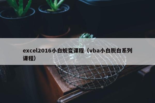 excel2016小白蜕变课程（vba小白脱白系列课程）