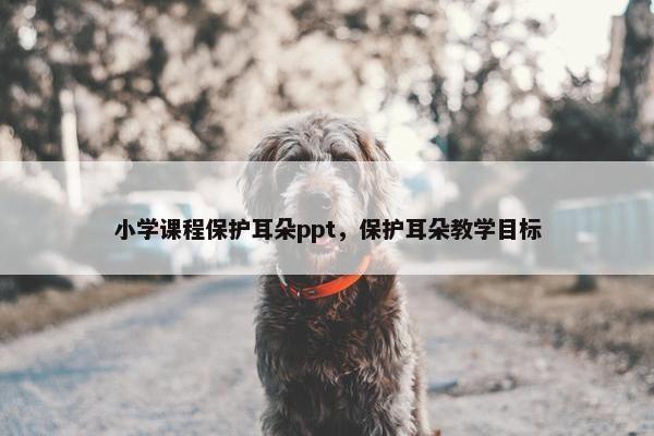 小学课程保护耳朵ppt，保护耳朵教学目标