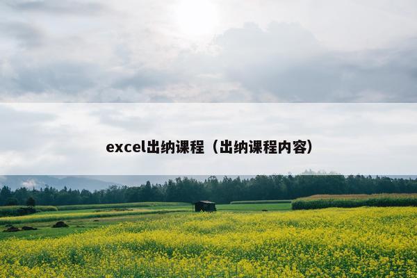 excel出纳课程（出纳课程内容）