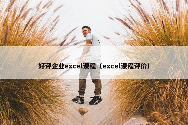 好评企业excel课程（excel课程评价）