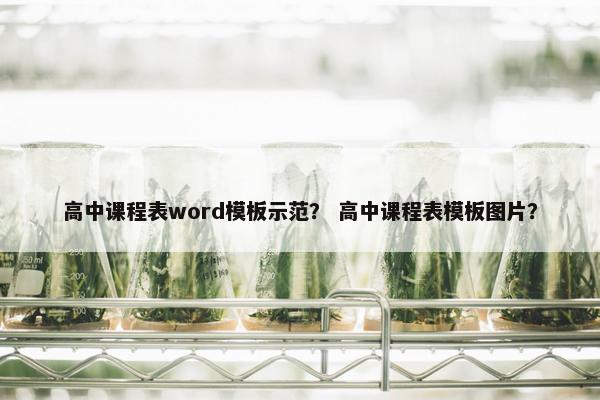 高中课程表word模板示范？ 高中课程表模板图片？