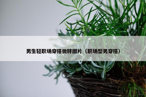 男生轻职场穿搭微胖图片（职场型男穿搭）
