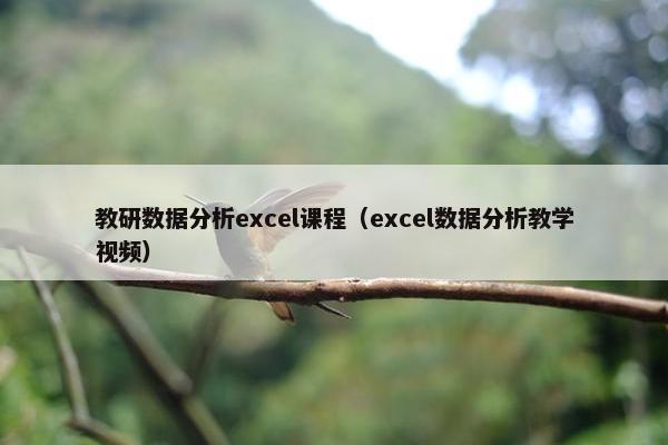 教研数据分析excel课程（excel数据分析教学视频）