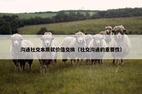 沟通社交本质就价值交换（社交沟通的重要性）