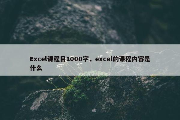 Excel课程目1000字，excel的课程内容是什么
