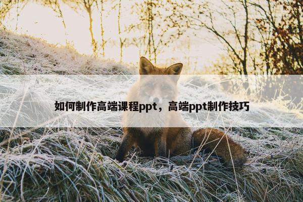 如何制作高端课程ppt，高端ppt制作技巧