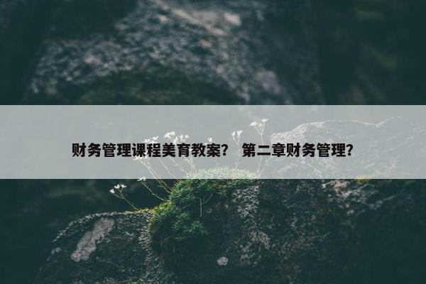 财务管理课程美育教案？ 第二章财务管理？