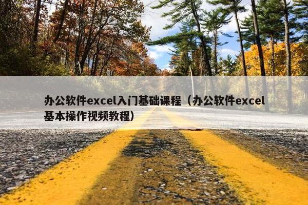 办公软件excel入门基础课程（办公软件excel基本操作视频教程）