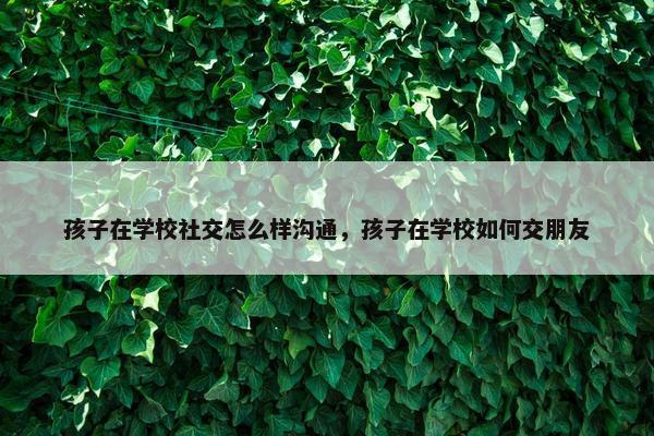 孩子在学校社交怎么样沟通，孩子在学校如何交朋友
